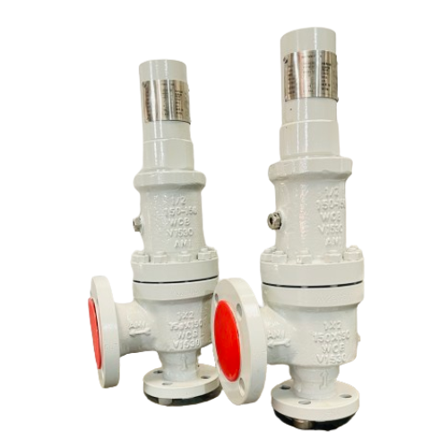 Pressure and Safety Relief Valve